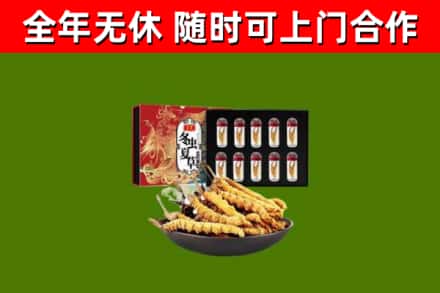松北区回收冬虫夏草价格